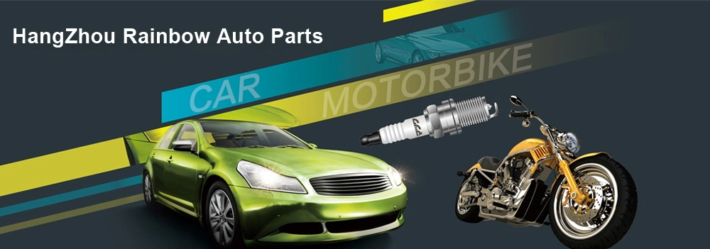 OEM/ODM Metal Case/Shell 12122158253 Fr7npp332 Sparking Plug/Spark Plugs/Sparkplug for BMW